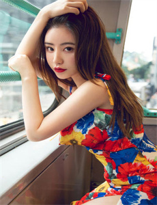 《火鸟 韩剧》