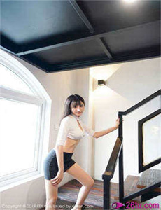《小鹤多姨》