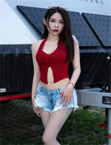 《电视剧桐柏英雄全集》